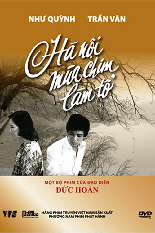 Hà Nội mùa chim làm tổ Hà Nội mùa chim làm tổ